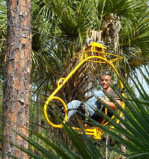 Cypress Canopy Cycle by Florida EcoSafaris at Forever Florida