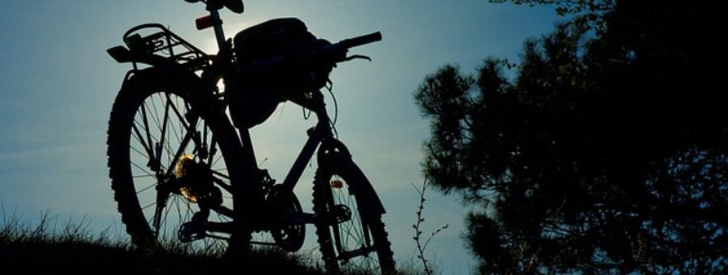 Mountain Biking Town Lake in Austin