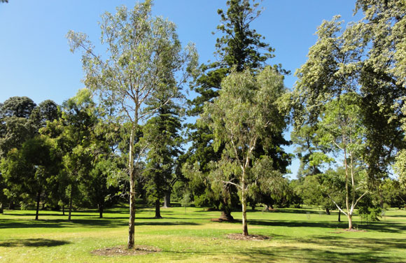 adelaide parks