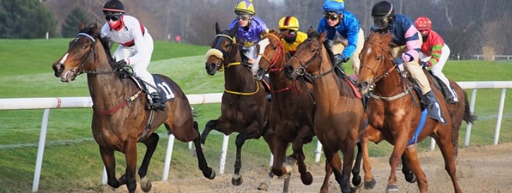 BELMONT PARK RACE TRACK