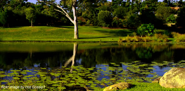 Botanic Gardens