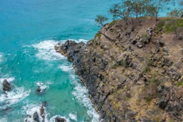 Spot A Turtle At Hells Gate