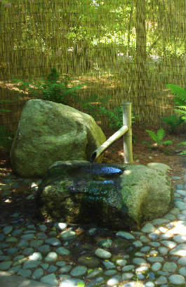 japanese garden picture