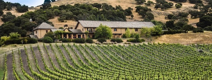 Napa Valley Wineries