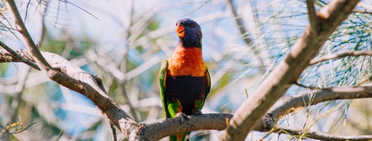 Noosa, Queensland