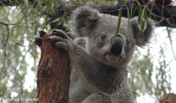 Perth Zoo