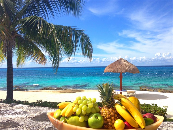 dining in Cozumel