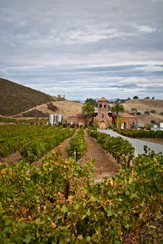 Pietra Santa Winery outside of San Juan Bautista