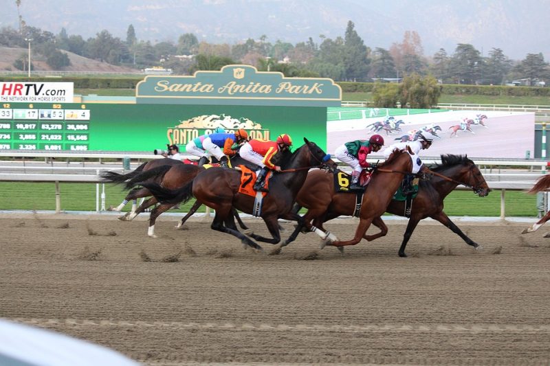 santa anita park - horse Race