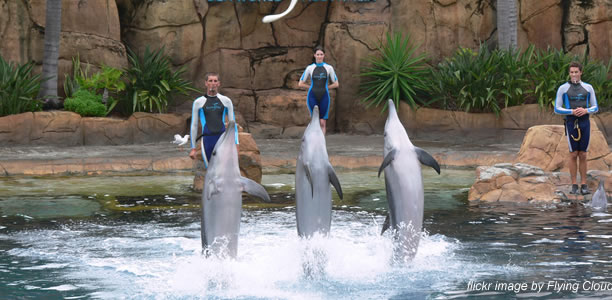 Sea World Gold Coast