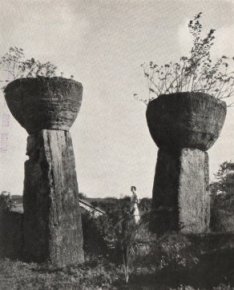 Tinian Island columns 