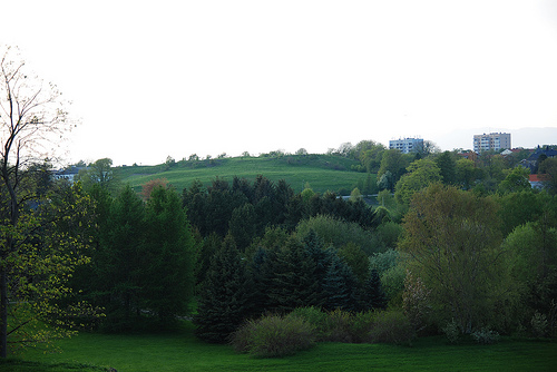 Ringve Botanical Garden .photo Maria Johnsen