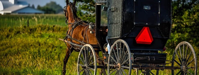 ohio amish