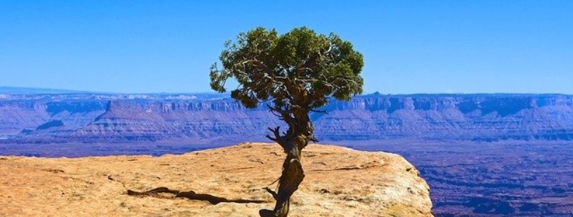 Canyonlands Utah