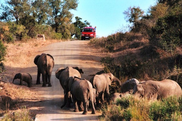 Kruger National Park, South Africa