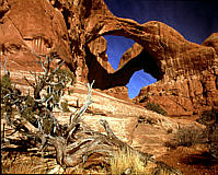 Arches National Park