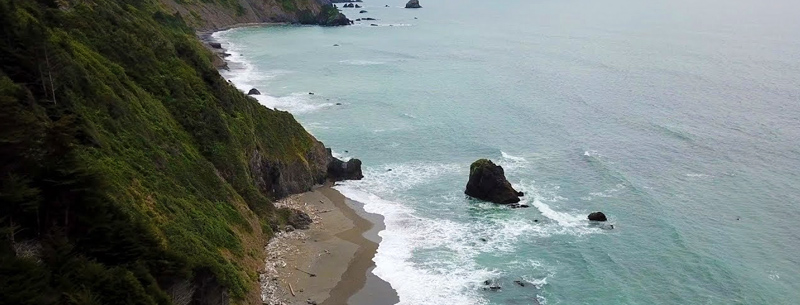 California redwood coast