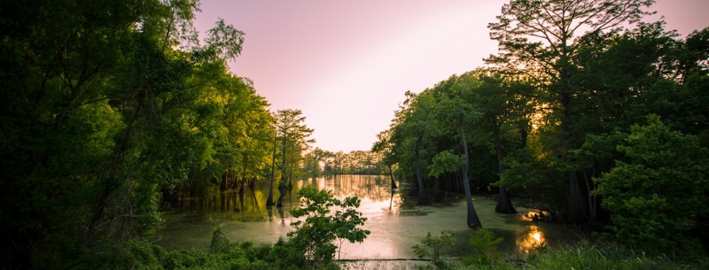 Mississippi Visitors Guide