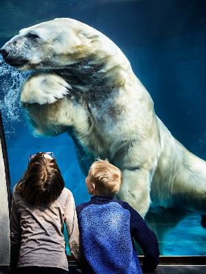 Pittsburgh Zoo