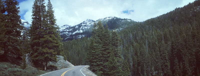 Yellowstone National Park