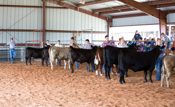 Fulton County Fair