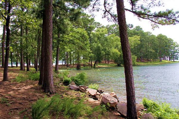 Lake Degray Bismark