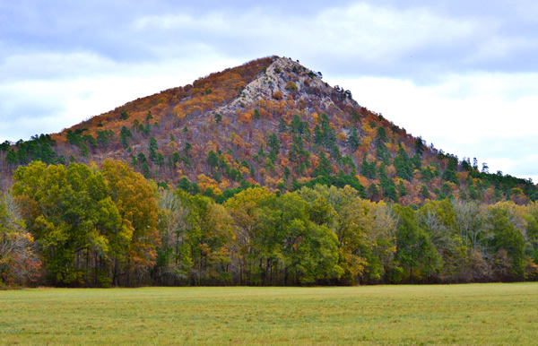 Pinnacle Mountain Roland