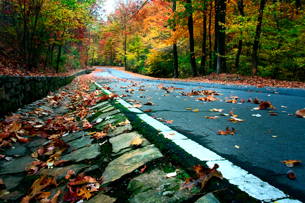 Route Hot Springs to Eureka Springs