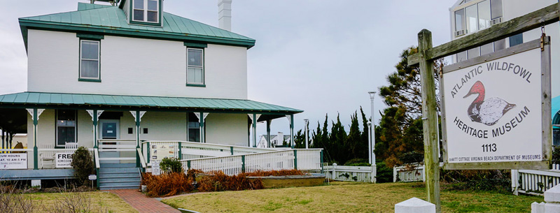 Atlantic Wildfowl Heritage Museum - virginia beach