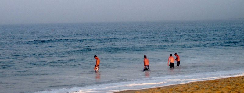 waders at block island beaches