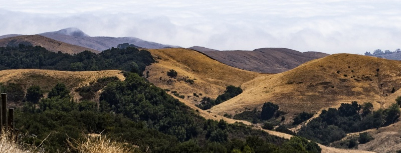 Cambria California