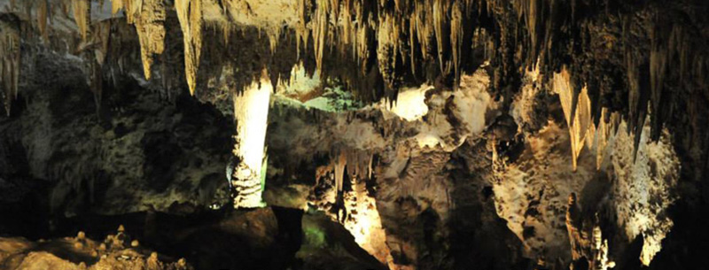 Carlsbad Caverns NM