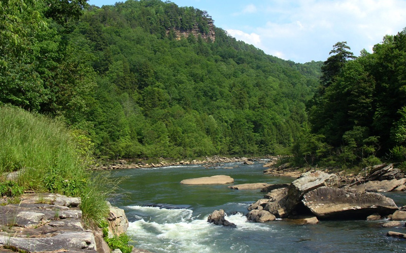 Gauley River, WW