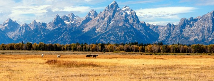 Jackson Hole Visitors Guide