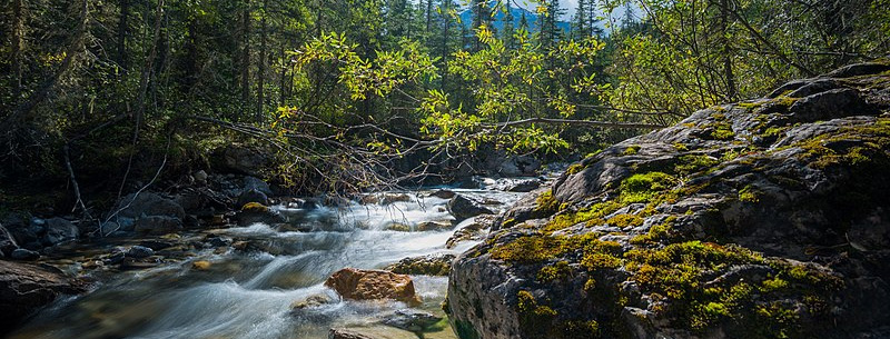 Hot Springs Jasper, AB