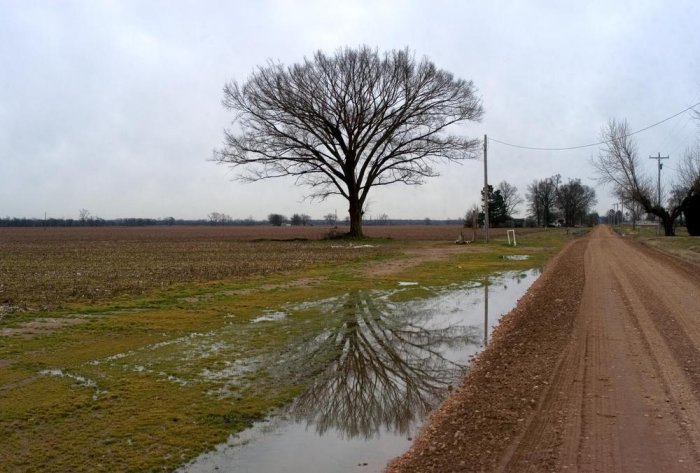 https://freefun.guide/wp-content/uploads/2020/01/large-tree-on-horizon-with-reflection.jpg