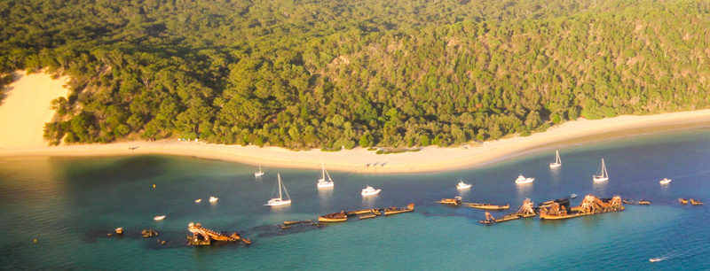 Explore Moreton Island’s Tangalooma Wrecks