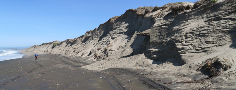 Moss Landing State Beach