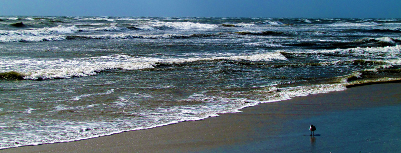 Ocracoke Island Beach