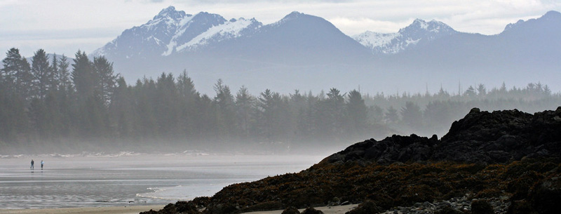 Vancouver Island Pacific Rim