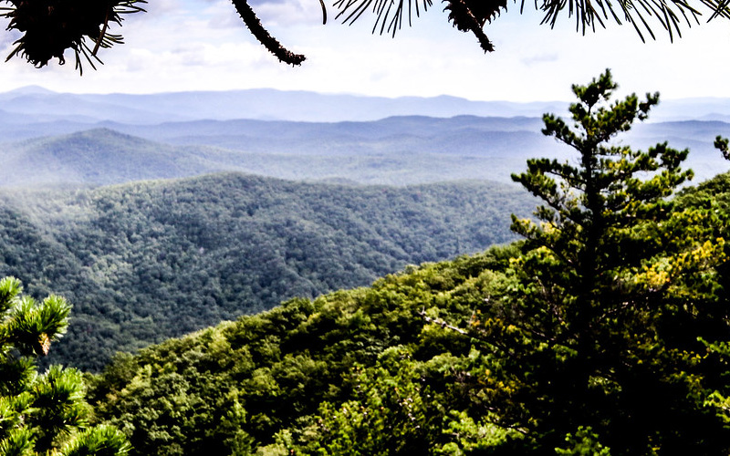 Pisgah National Forest