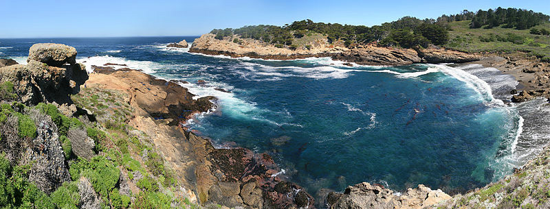 Point Lobos