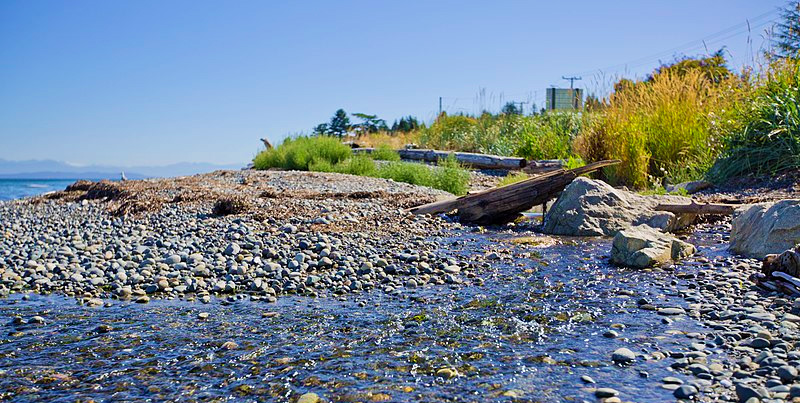 Vancouver Island Qualicum Beach