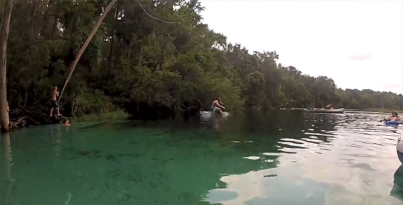 Rainbow River clear waters