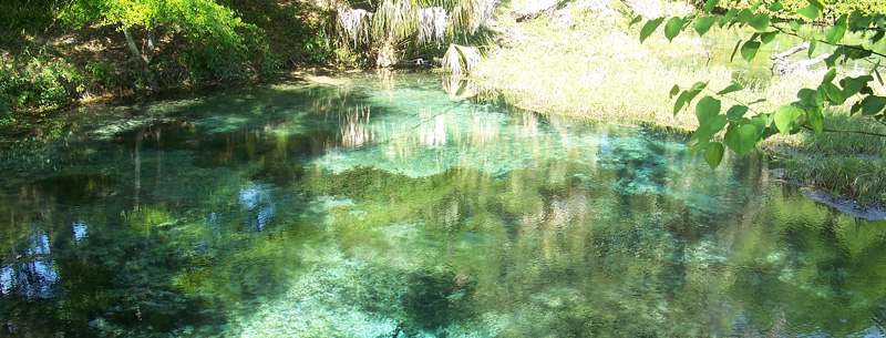 Rainbow Springs State Park