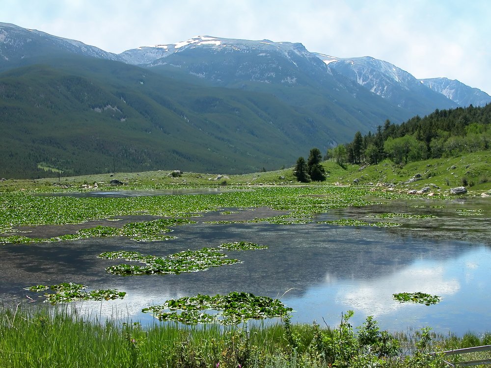 reeves lake montana