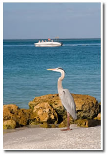 Captiva Island Beach