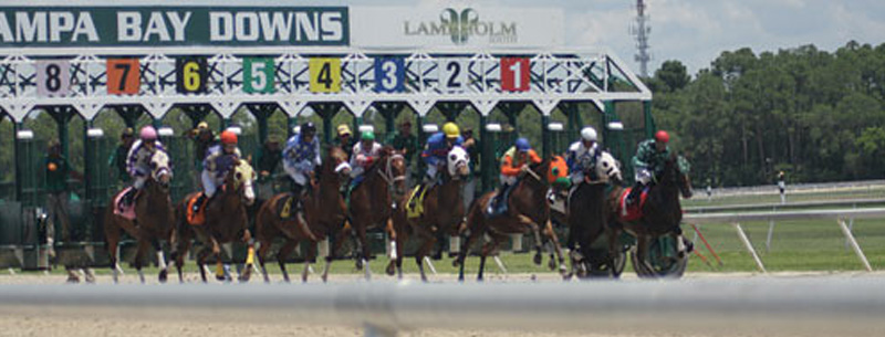 Tampa Bay Downs