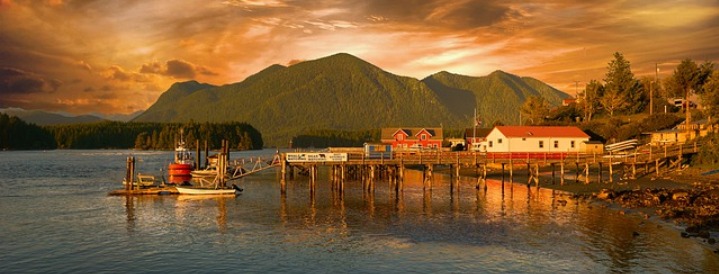 things to do in tofino