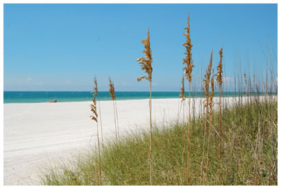 Treasure Island Beach